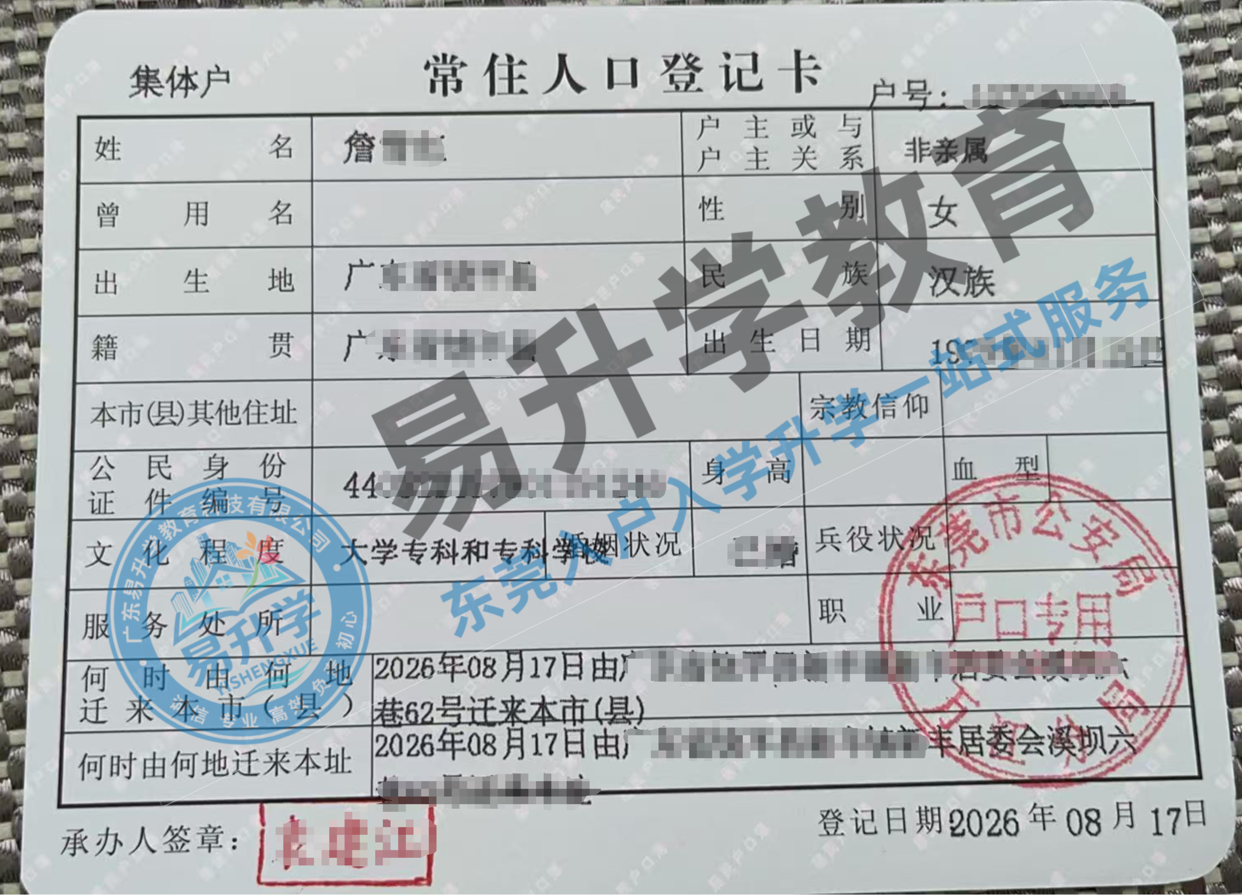 万江詹女士入户成功！持证参保合规落户，8天高效办结