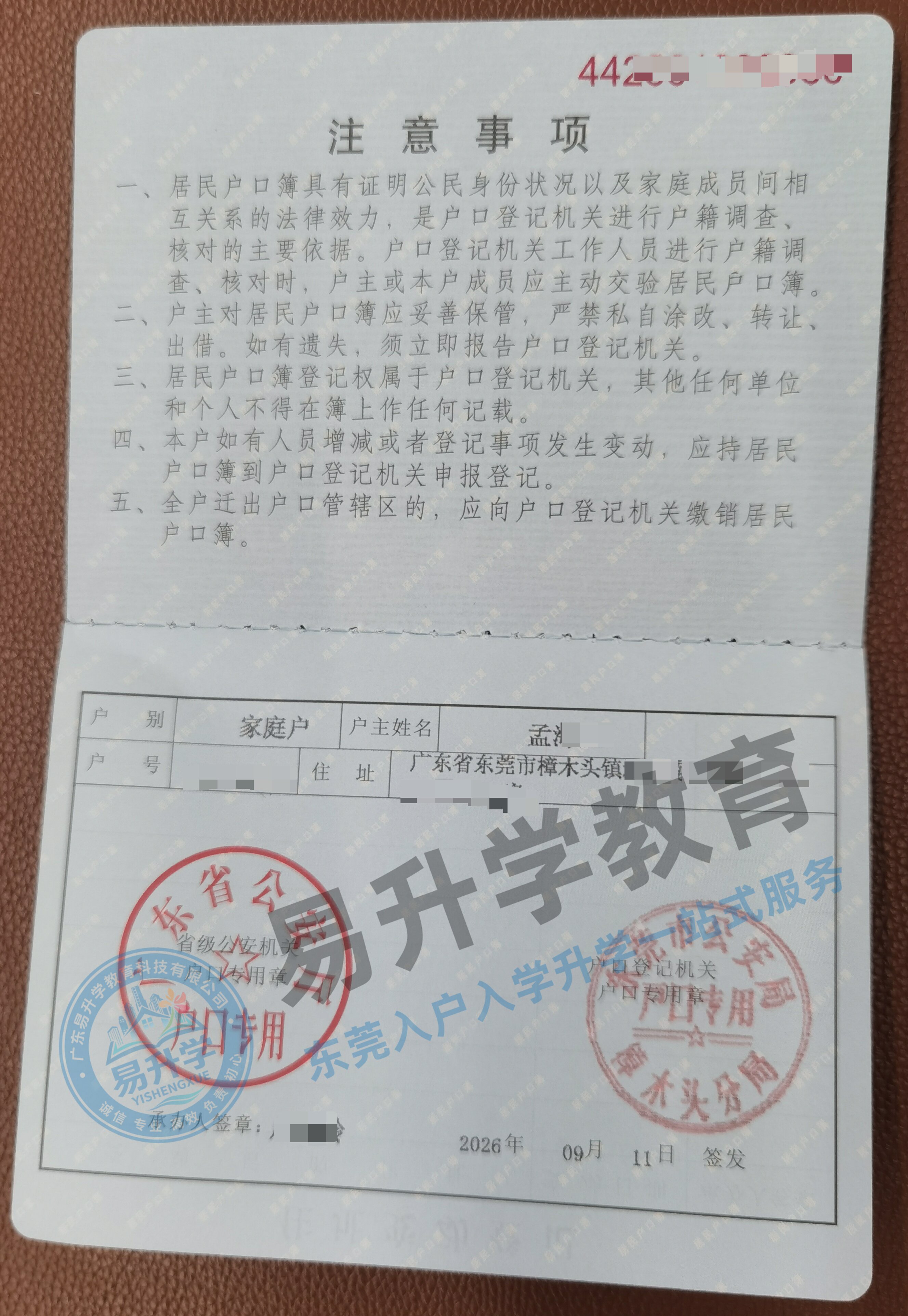 孟先生樟木头入户落地！三无条件专业规划9天办结